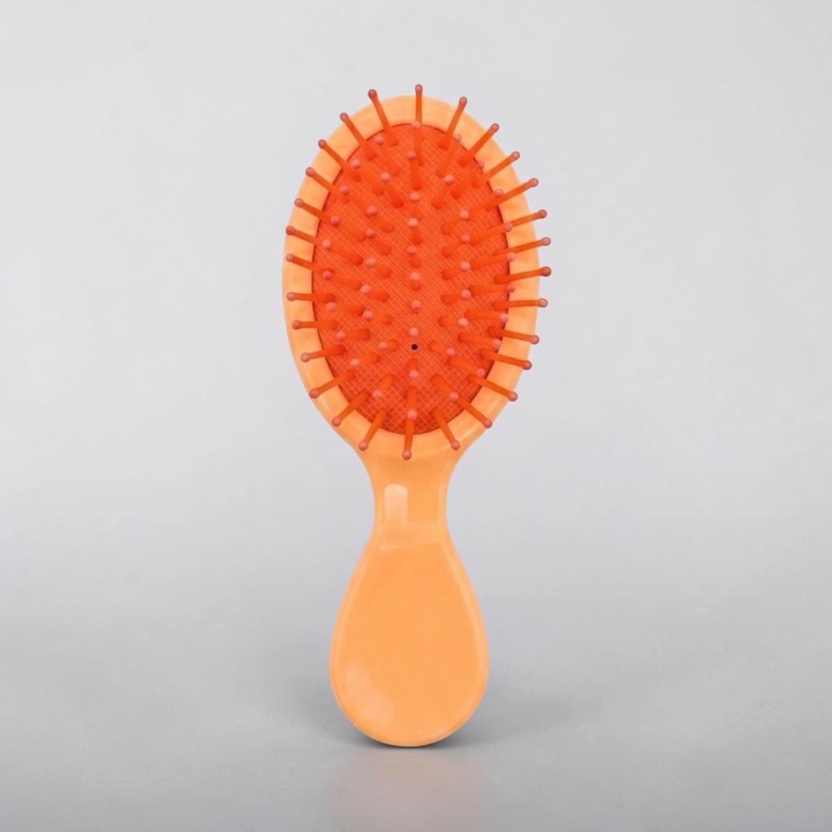 Mini Hair Brush